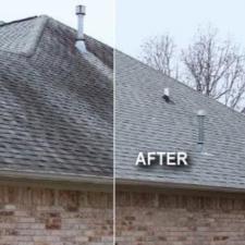 Professional Roof Cleaning