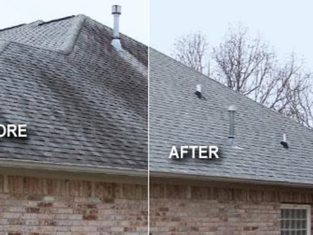 roof cleaning