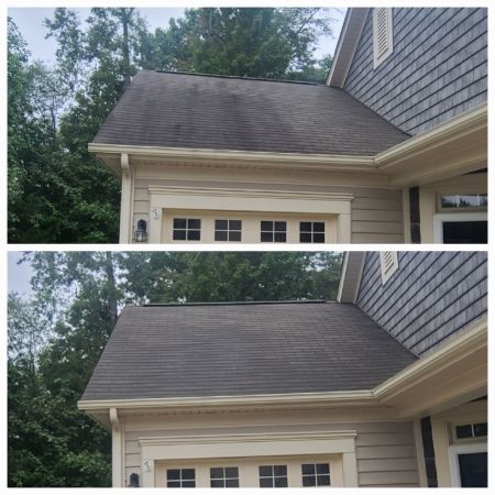 When should you schedule roof cleaning to prevent algae and stain damage
